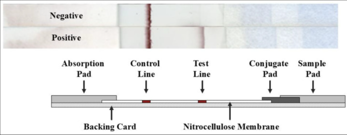 Responsive Image For Website 12 (Mobile 0 Breakpoint) Image For Website 12 (Desktop 0 Breakpoint) 